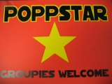 Poppstar - Groupies Welcome (Türschild)