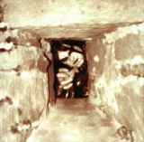 Weltenbaum - Lebensbaum (Kettenanhänger in Silber)