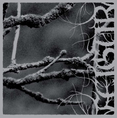 Feigur - II, Desolation CD