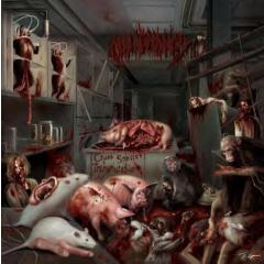 Malignancy - Cross Species Transmutation CD