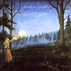 Ragnaröek - Dornig Digi-CD